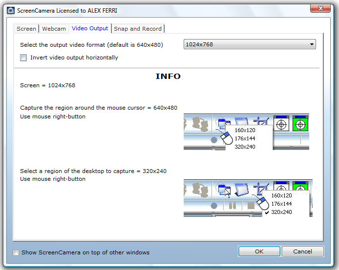 Registrare lo schermo del PC con ScreenCamera