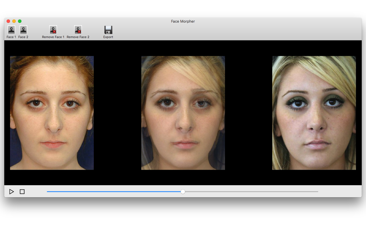 face morph app